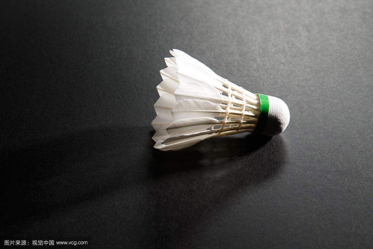 未来的昂首 未来的昂首