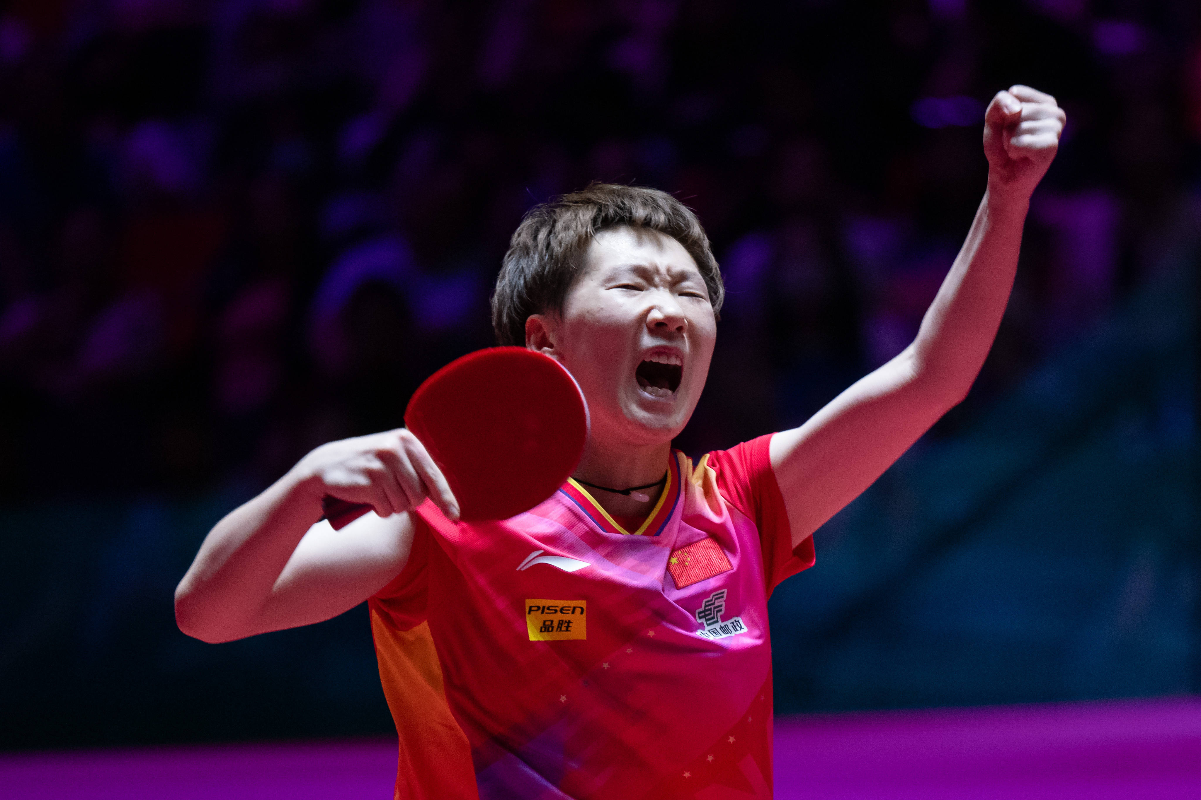 争取在未来 争取在未来