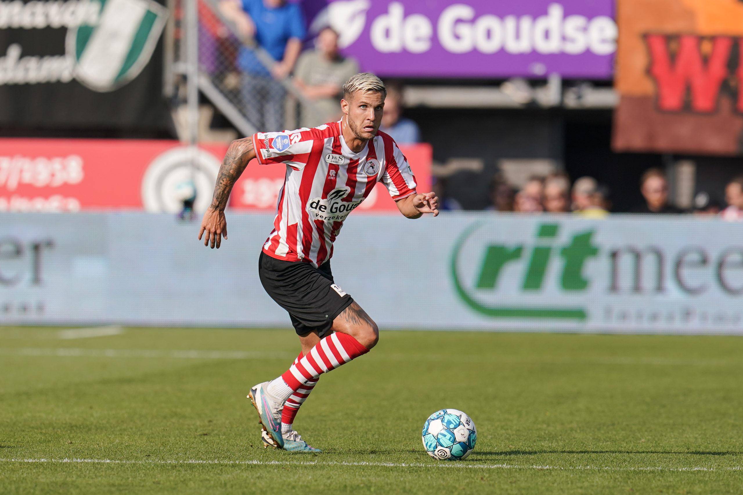 y以上单豹 y以上单豹